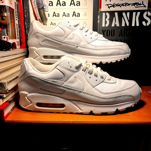 Nike Other - NIKE || AIRMAX 90s SZ 12